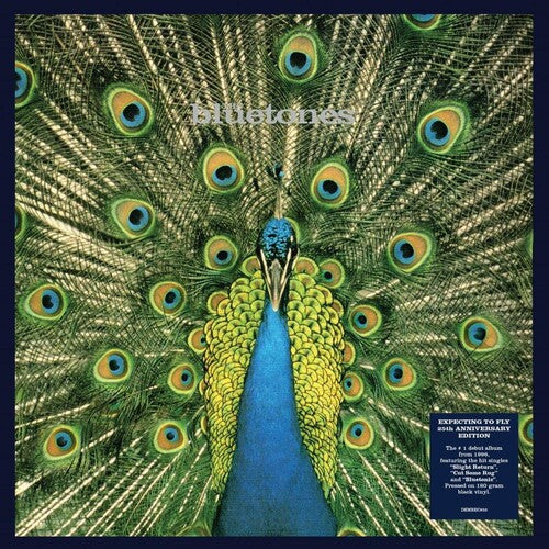 The Bluetones Expecting To Fly: 25th Anniversary - Record Album - Vinyl LP