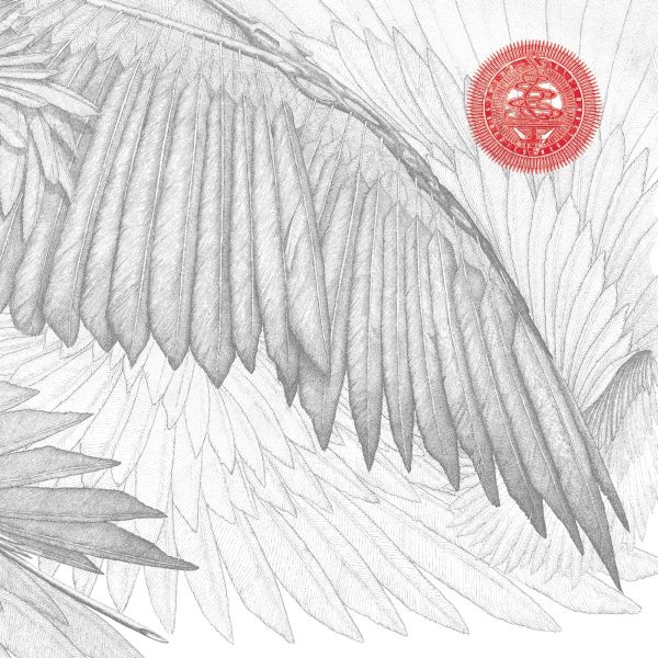 The Bug Angels & Devils
