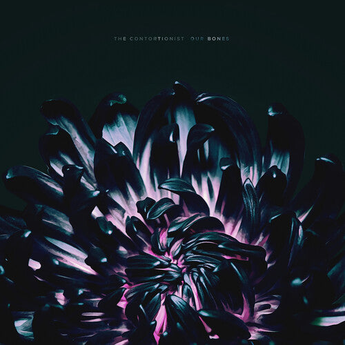 The Contortionist Our Bones - Record Album - Vinyl LP