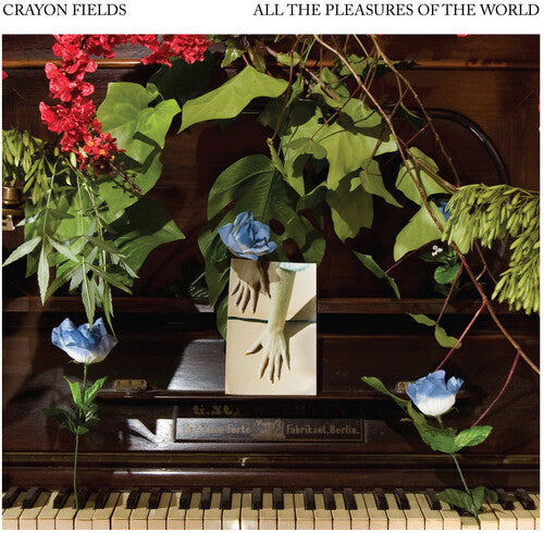 The Crayon Fields All the Pleasures Of the World (Deluxe Edition) - Record Album - Vinyl LP