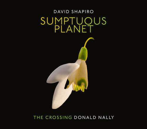 The Crossing Sumptuous Planet - CD Album