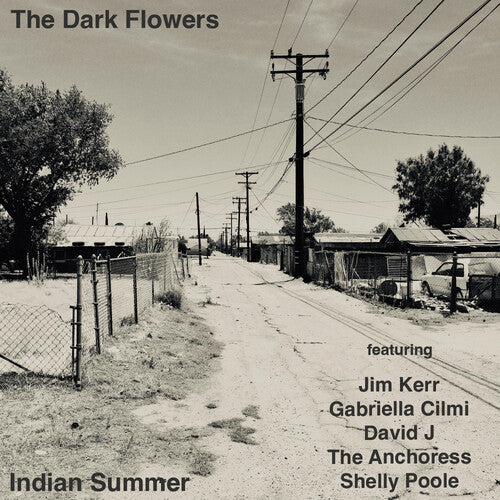 The Dark Flowers Indian Summer - Record Album - Vinyl LP