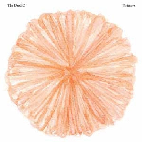 THE DEAD C Patience - Record Album - Vinyl LP
