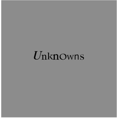THE DEAD C Unknowns - Record Album - Vinyl LP
