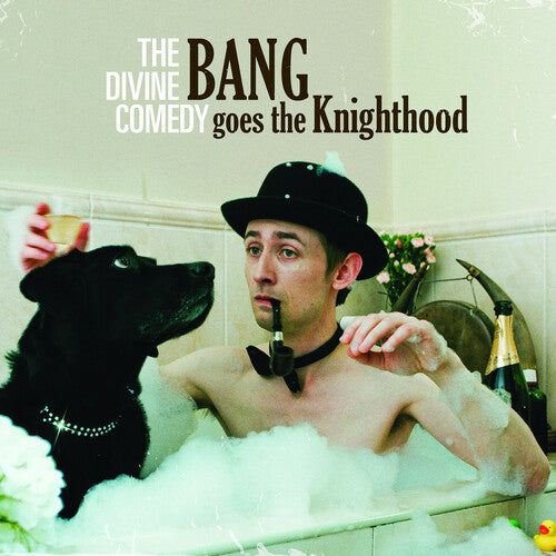 The Divine Comedy Bang Goes The Knighthood - Record Album - Vinyl LP