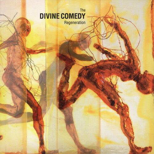 The Divine Comedy Regeneration - Record Album - Vinyl LP