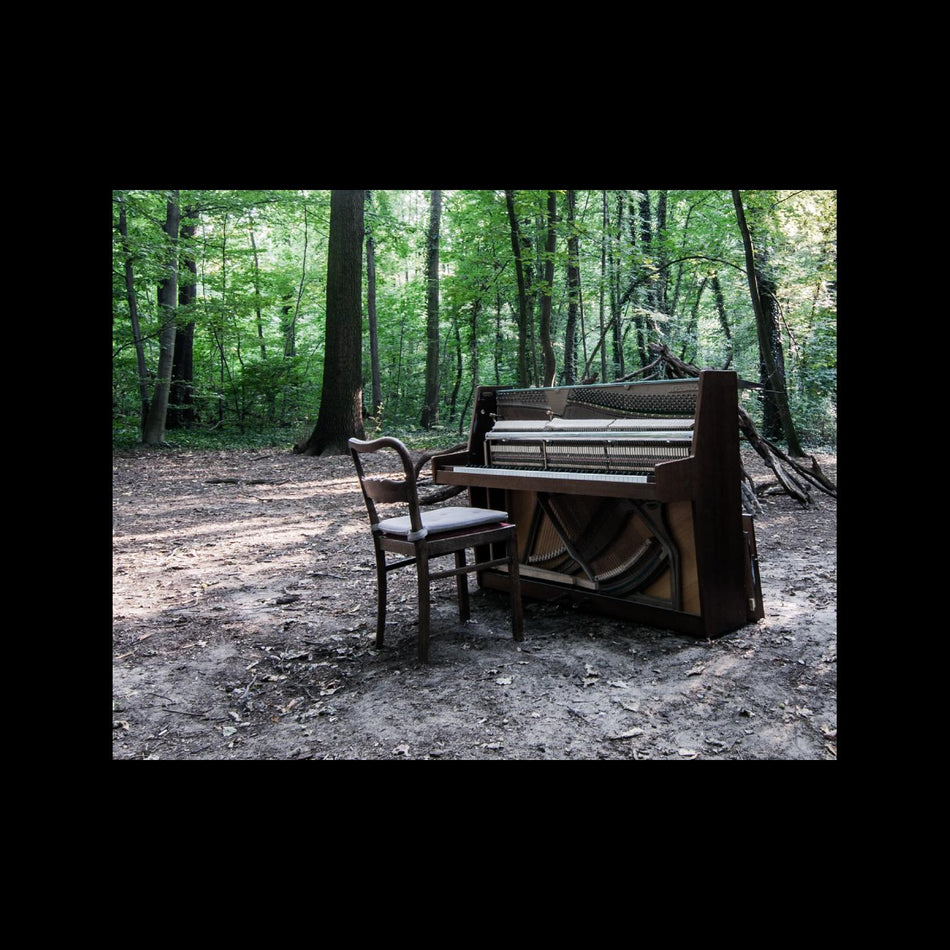 The Eye Of Time Acoustic II