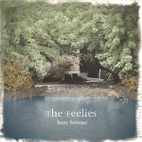 The Feelies Here Before - Record Album - Vinyl LP