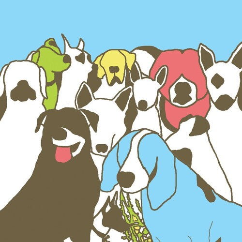 The Format Dog Problems - Double Record Album - Vinyl LP