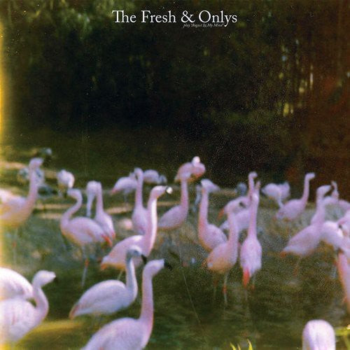 The Fresh & Onlys August in My Mind - Record Album - Vinyl LP