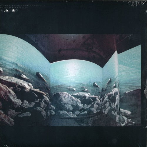 The Future Sound of London Environment 6.5 - Record Album - Vinyl LP
