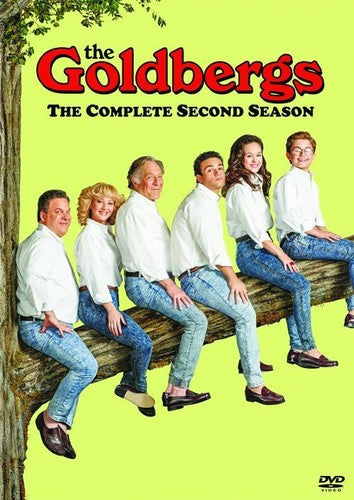 The Goldbergs: The Complete Second Season - 3-Disc DVD Set