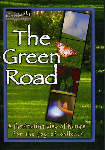 The Green Road - DVD