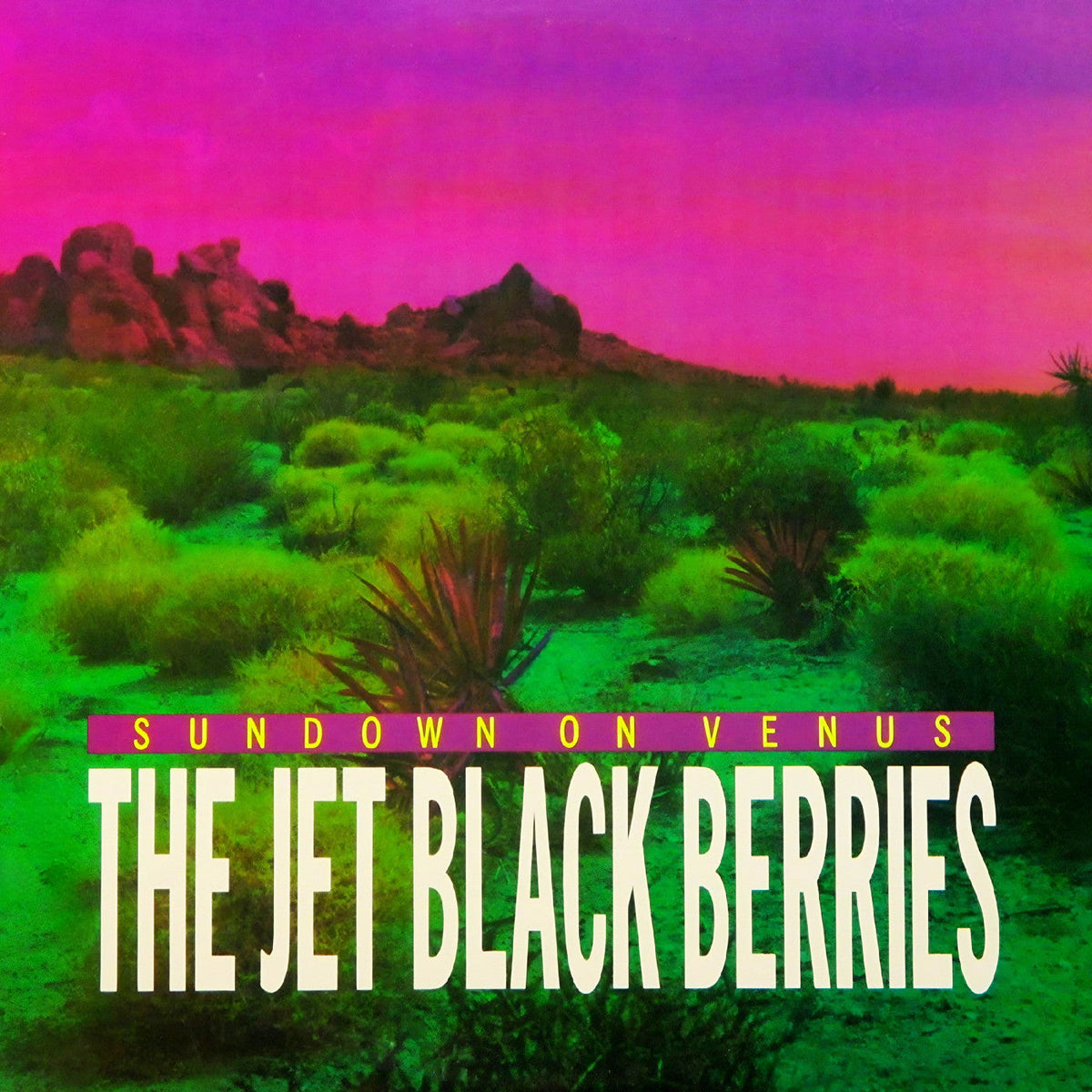 The Jet Black Berries Sundown On Venus [Definitive Edition]