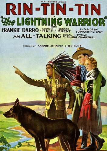 The Lightning Warrior - DVD