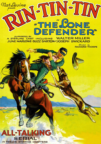The Lone Defender - DVD