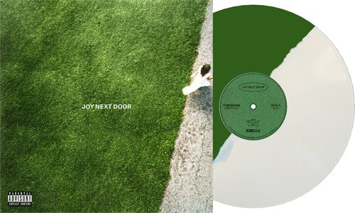 The Maine Joy Next Door - Record Album - Vinyl LP