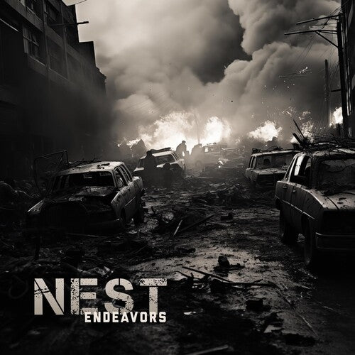 The Nest Endeavors - Record Album - Vinyl LP