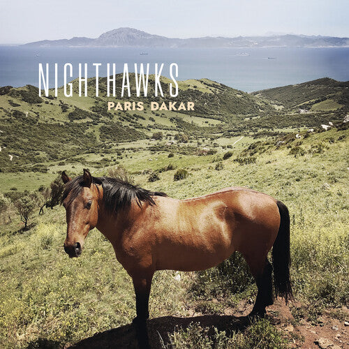 The Nighthawks Paris Dakar - Record Album - Vinyl LP