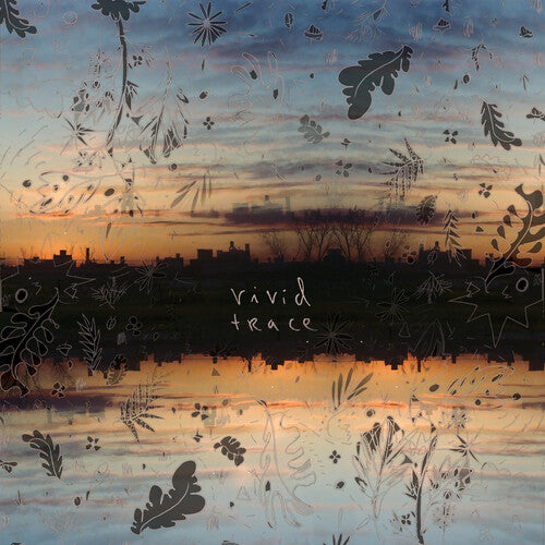 The Options Vivid Trace - Record Album - Vinyl LP