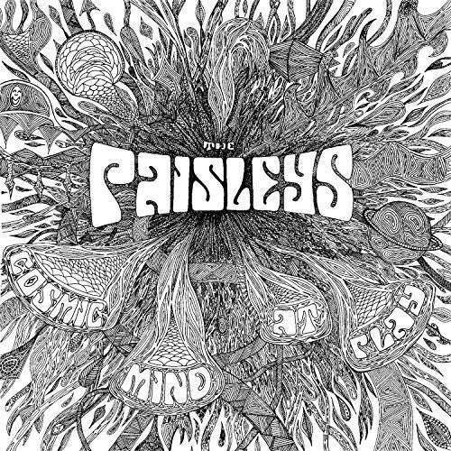 The Paisley Cosmic Mind at Play - Record Album - Vinyl LP