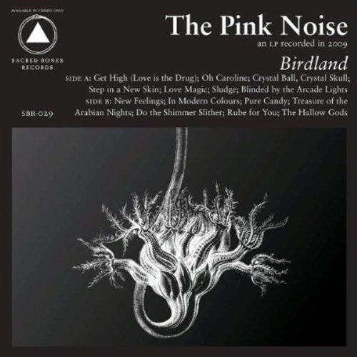 The Pink Noise Birdland - Record Album - Vinyl LP