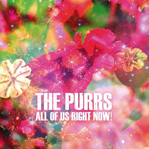 The Purrs All of Us Right Now! - Record Album - Vinyl LP