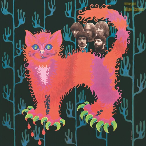The Pussy Group Pussy Plays - Record Album - Vinyl LP