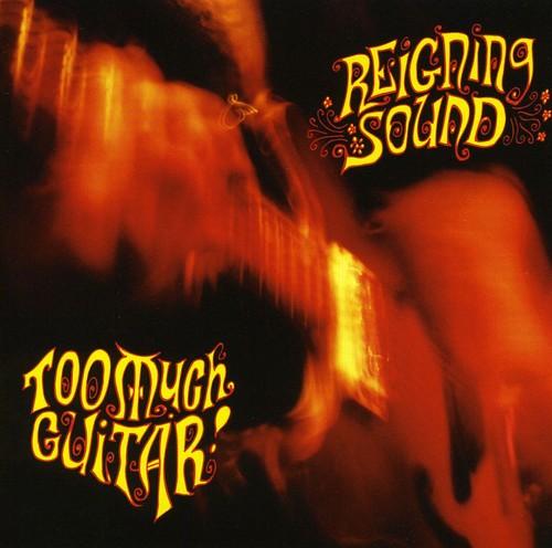 The Reigning Sound Too Much Guitar - Record Album - Vinyl LP
