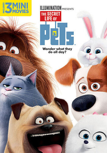 The Secret Life of Pets - DVD