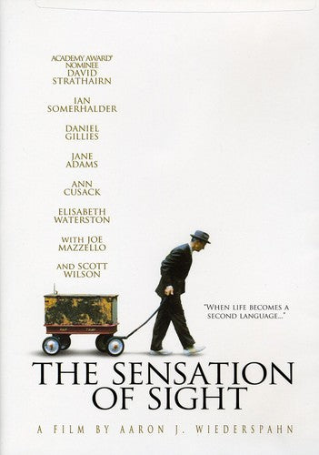 The Sensation of Sight - DVD