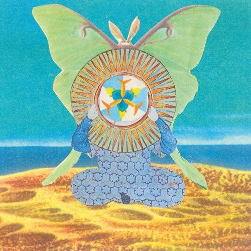 THE SKYGREEN LEOPARDS Jingling World Of The Skygreen Leopards - Record Album - Vinyl LP