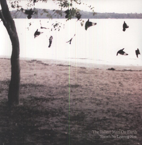 The Tallest Man on Earth There's No Leaving Now - Record Album - Vinyl LP
