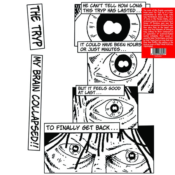 THE TRYP My Brain Collapsed
