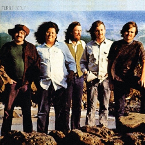 The Turtles Turtle Soup - Double Record Album - Vinyl LP