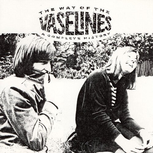 The Vaselines The Way of the Vaselines - Double Record Album - Vinyl LP