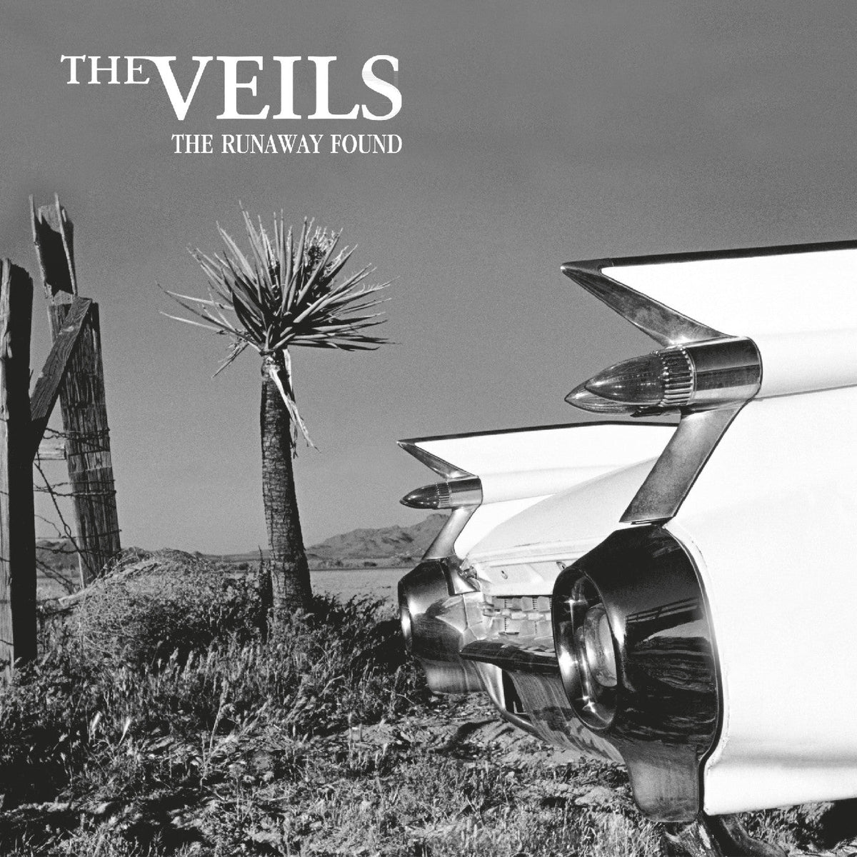 THE VEILS The Runaway Found