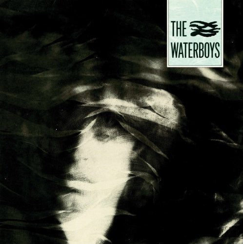 The Waterboys Waterboys - Record Album - Vinyl LP