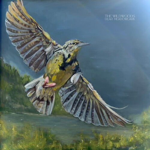 The Wildwoods Dear Meadowlark - Record Album - Vinyl LP