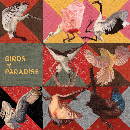 Thomas Dollbaum Birds of Paradise - Pink - Record Album - Vinyl LP