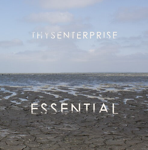 Thysenterprise Essential - Double Record Album - Vinyl LP