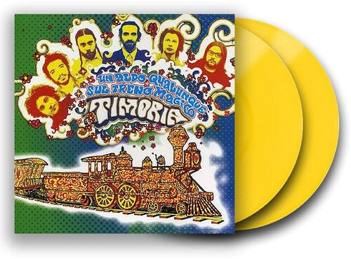 Timoria Un Aldo Qualcunque Sul Treno Magico - Double Record Album - Vinyl LP
