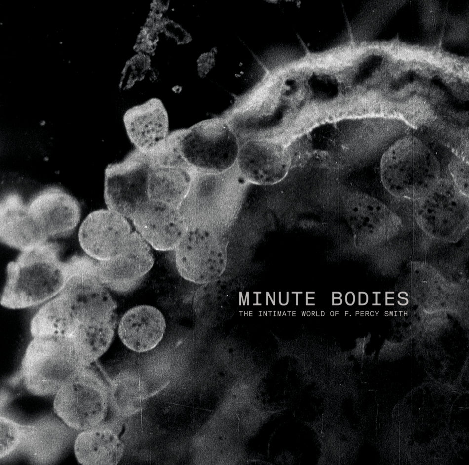 Tindersticks Minute Bodies: The Intimate World of F. Percy Smith