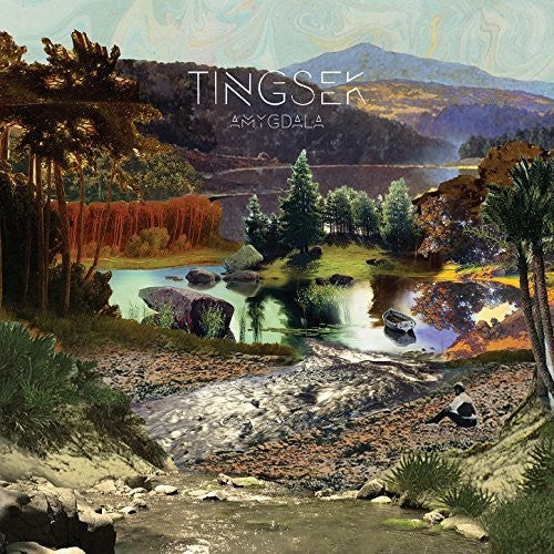Tingsek Amygdala - Record Album - Vinyl LP
