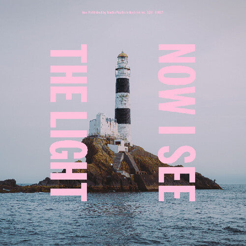 toe Now I See The Light - Record Album - Vinyl LP