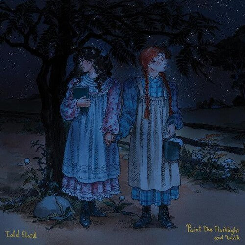 Told Slant Point The Flashlight And Walk - Record Album - Vinyl LP