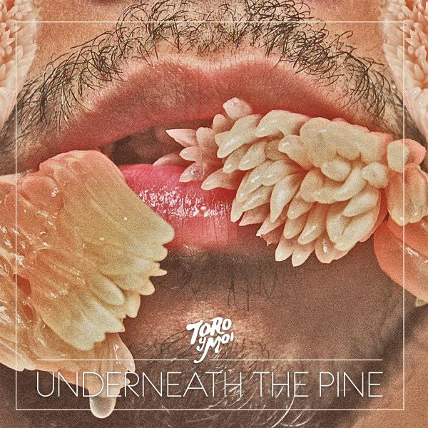 Toro Y Moi Underneath the Pine