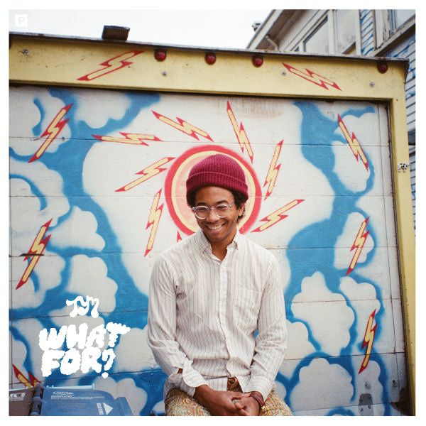 Toro Y Moi What For? (Digital Download Card)