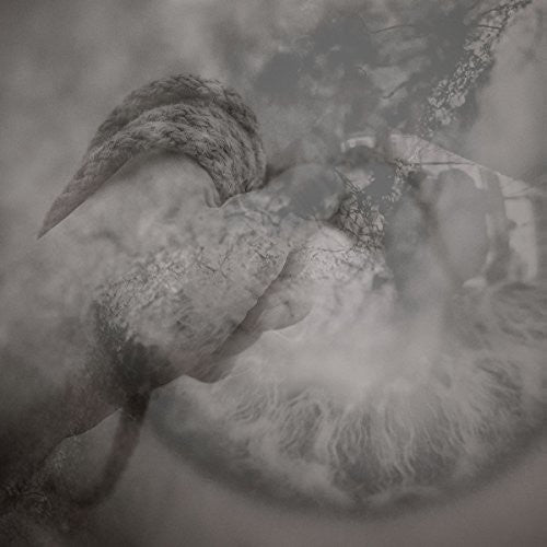 Torpor / Sonance Split - Record Album - Vinyl LP