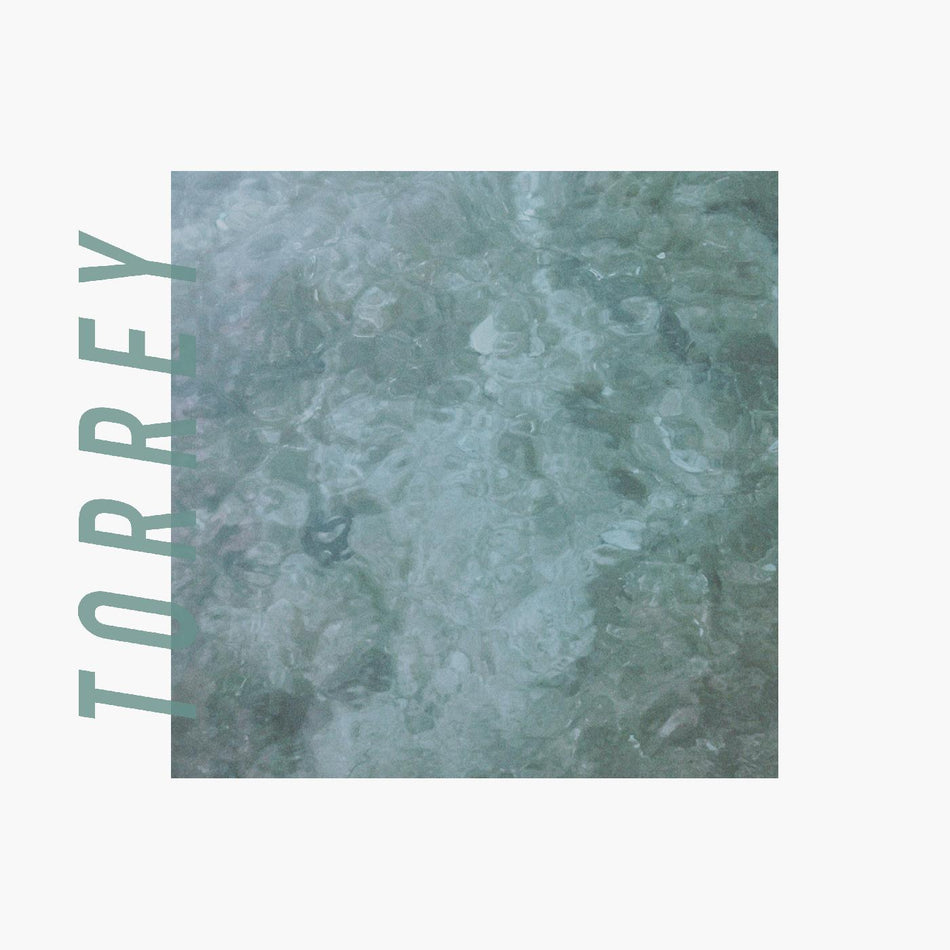 Torrey Torrey